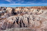 Petrified Forest