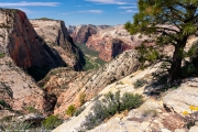 Observation Point Zion