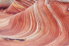 The Wave