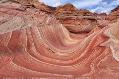 The Wave