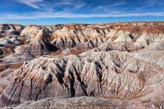Petrified Forest